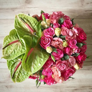 43027181_722107491483685_399369986444886016_o