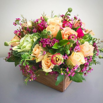 67245170_903057673388665_7121995846324846592_o